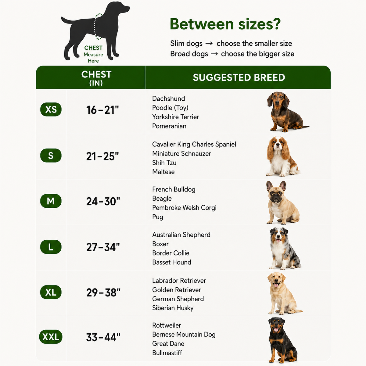 Dogshood.com ™