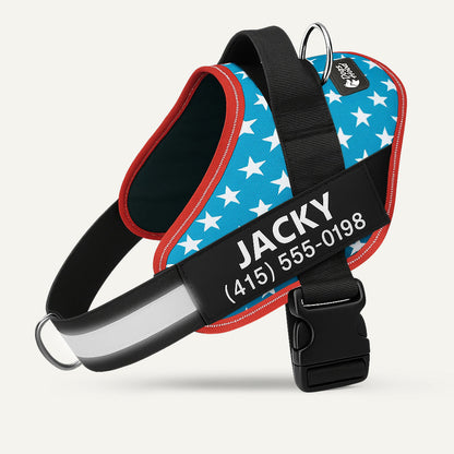 Dogshood.com ™ No Pull Harness