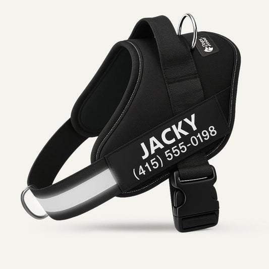 Dogshood.com ™ No Pull Harness
