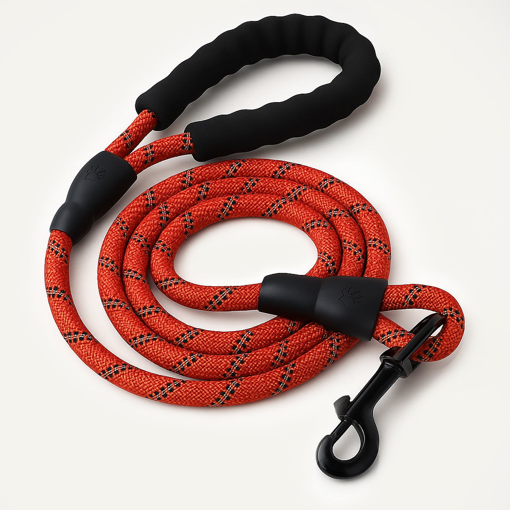 Reflective Nylon Leash