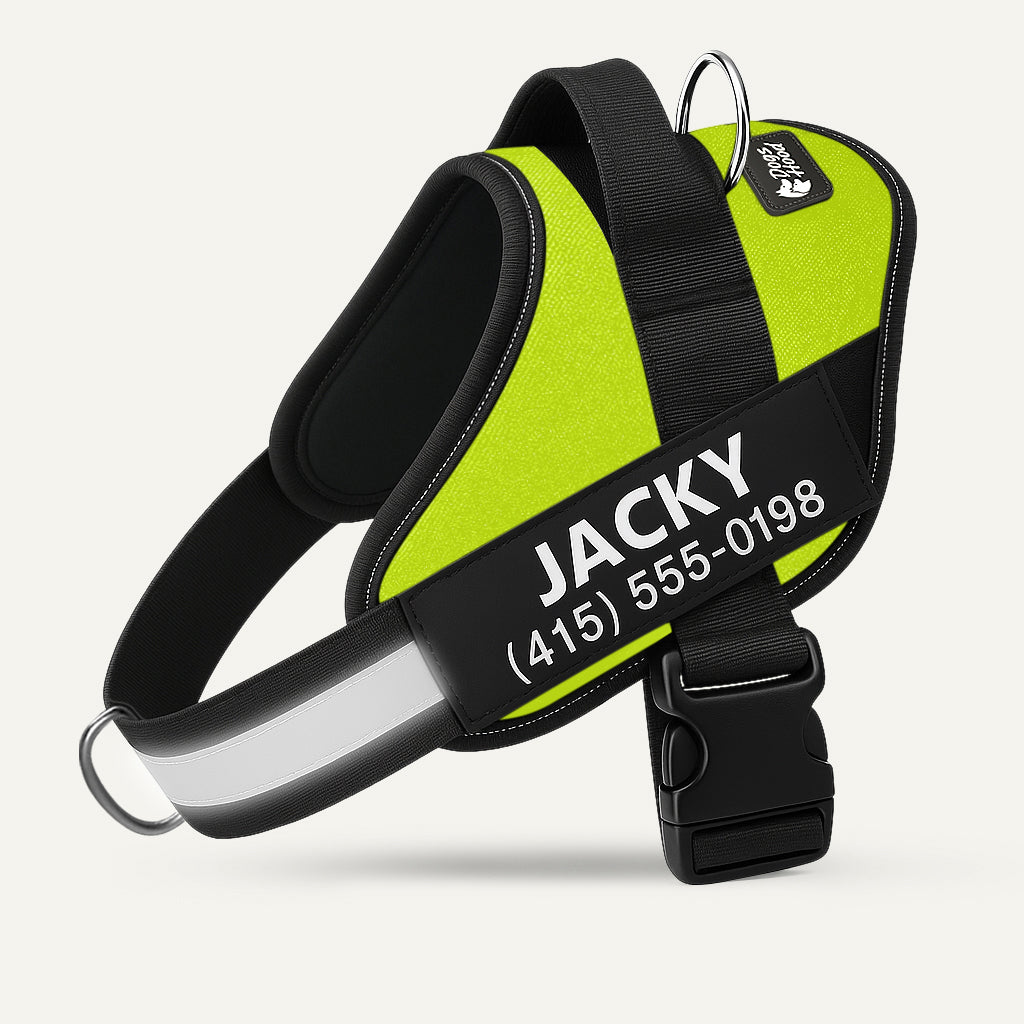 Dogshood.com ™ No Pull Harness