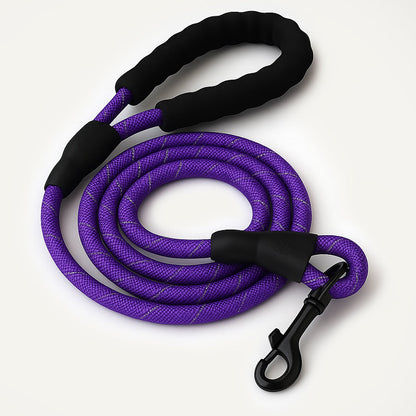 Reflective Nylon Leash