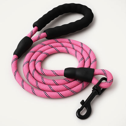 Reflective Nylon Leash