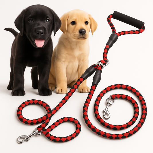Double Leash — Walk Two Dogs, One Leash