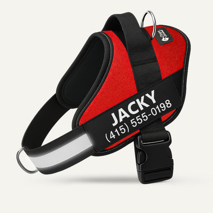 Dogshood.com ™ No Pull Harness