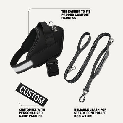 Essentials Set