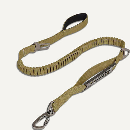 Bungee Leash