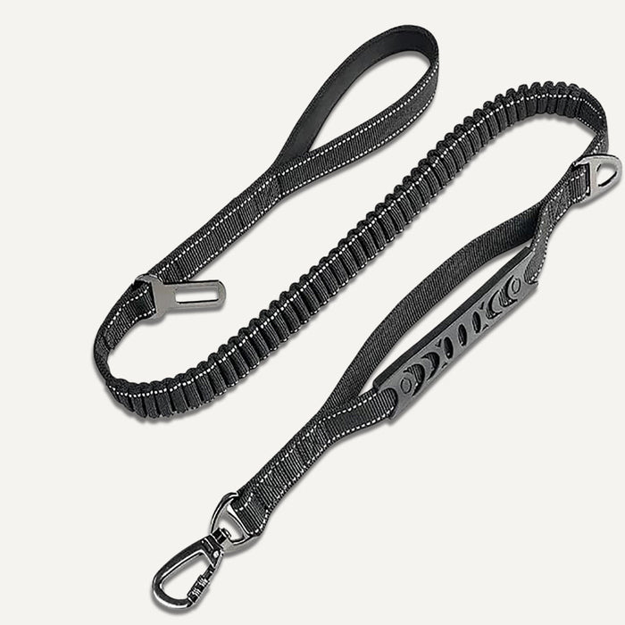 Bungee Leash