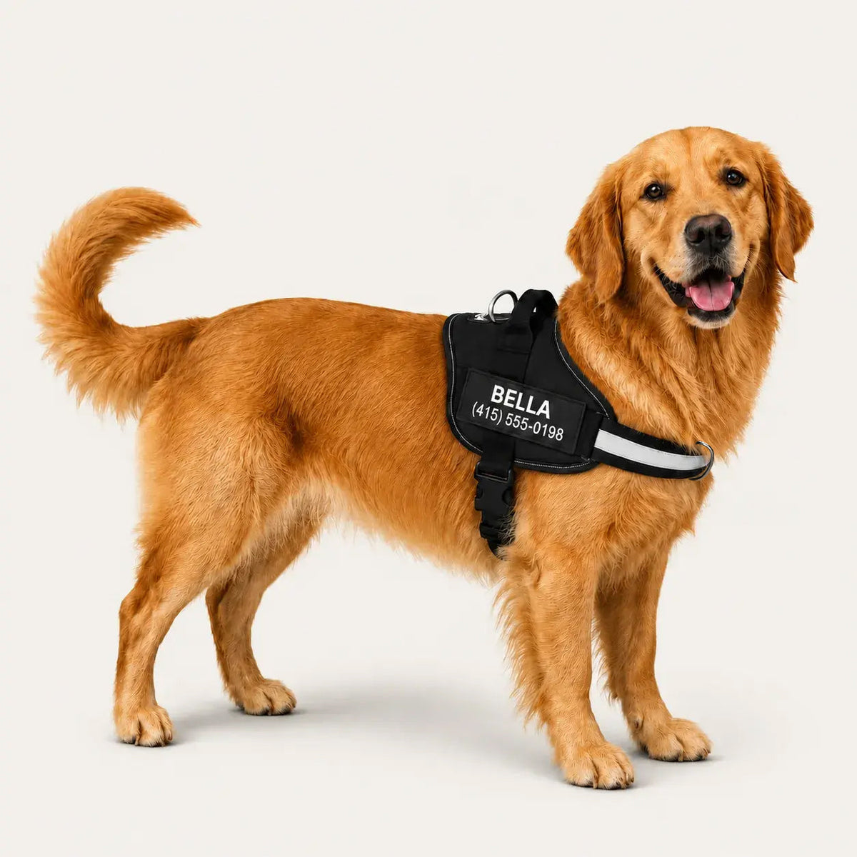 Dogshood.com ™ No Pull Harness