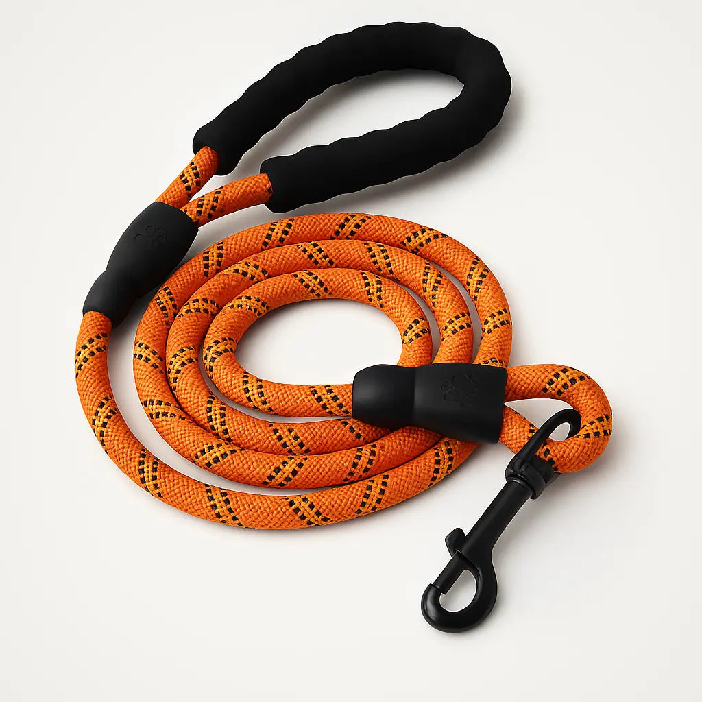 Reflective Nylon Leash