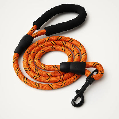 Reflective Nylon Leash