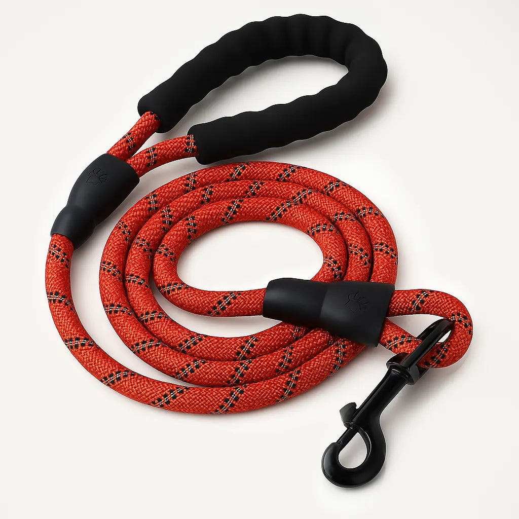 Reflective Nylon Leash